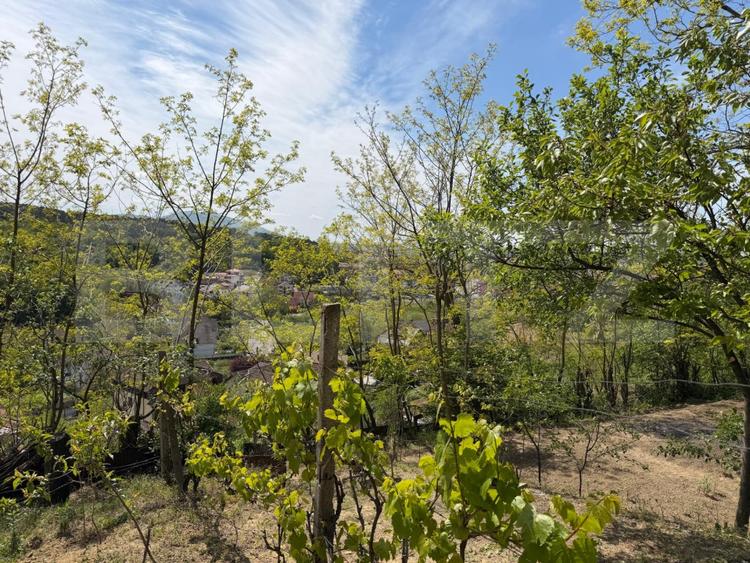Teren de vânzare, 1.900 mp, Zalau