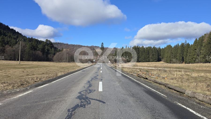 Teren extravilan 19.200 mp – DN1A Săcele, Brădet | Front stradal 130 ml - 8