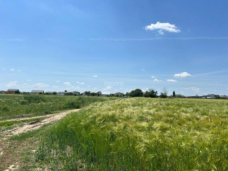 vanzare teren în Măgurele, Pruni, strada Argeș 12000 euro - 8