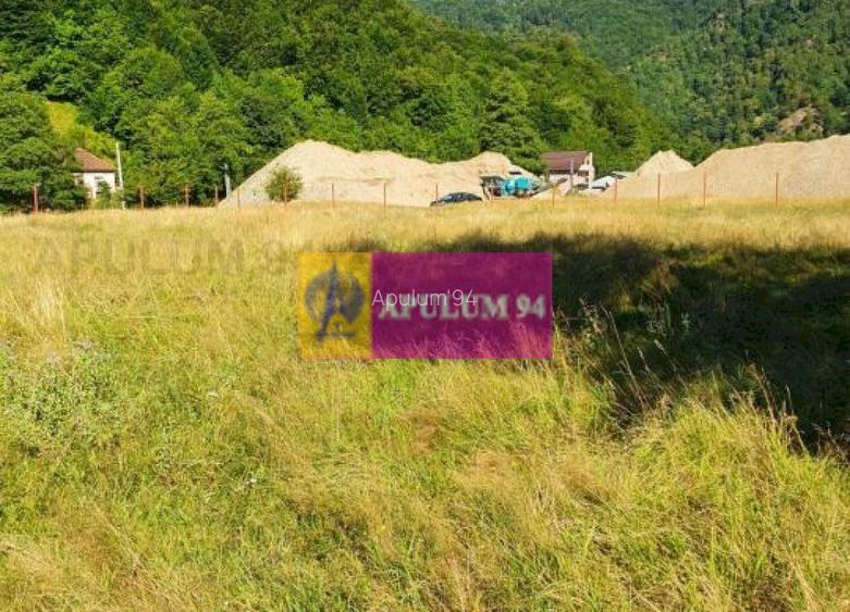 Teren Județul Vâlcea - Brezoi, Valea lui Stan - 35