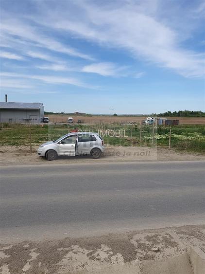 TEREN TOMESTI 1350 MP - 2