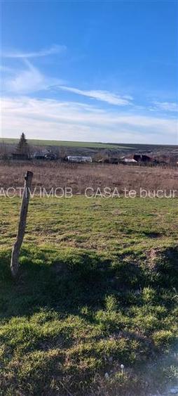 Teren TOP 1400mp  18ml stradal  Vanatori (Odaia Manolache) - 3