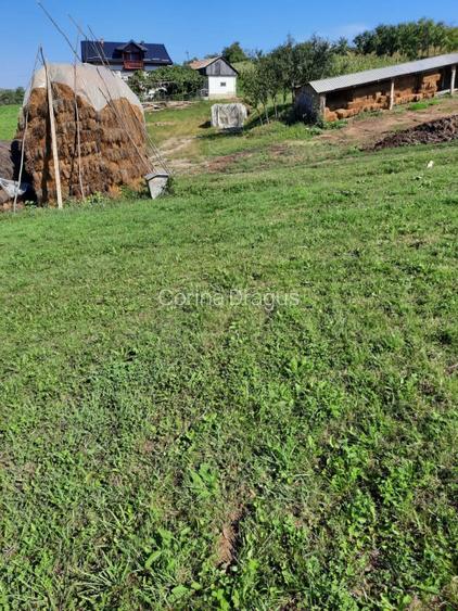 Teren intravilan ideal pentru o casa - 2