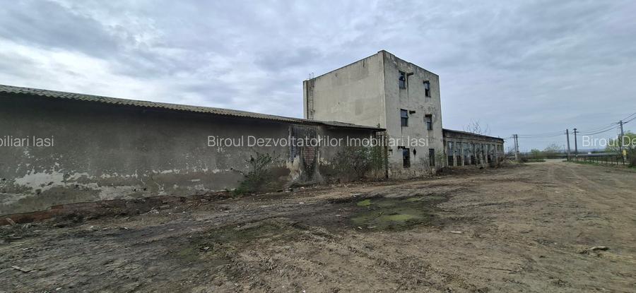 Teren 18.000 mp Holboca l, utilitati, posttrafo, deschidere mare - 14