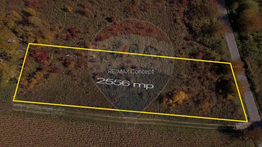 Teren Pădureni (Chinteni), intravilan, parcelabil - 12