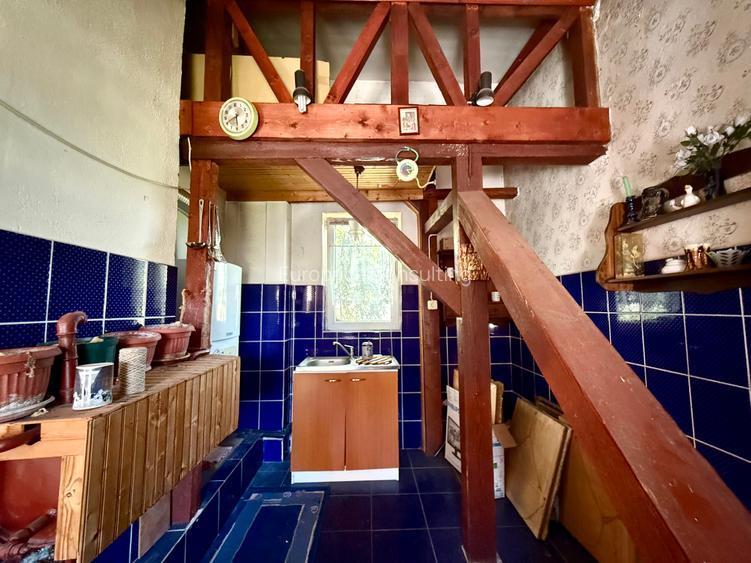 Domenii, str. Caraiman - 24