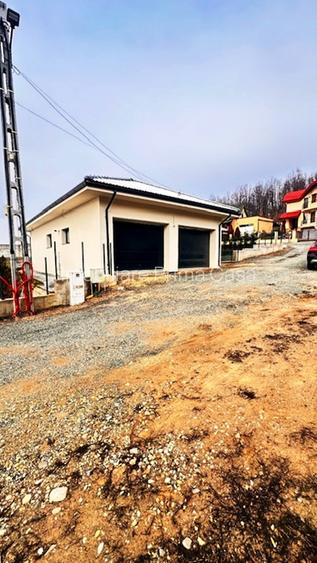 APA SARATA casa deosebita 300mp cu 2 garaje si 8ari teren! - 8