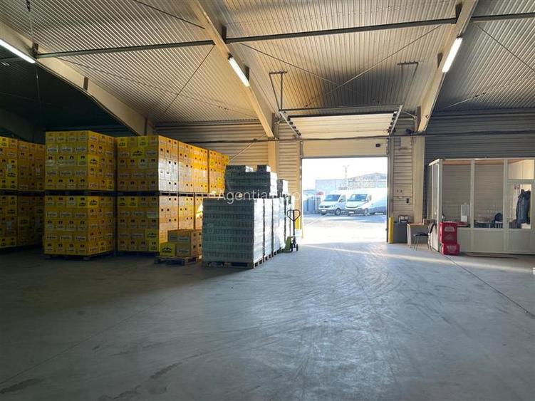 Centru logistic de inchiriat in Tulcea - 31