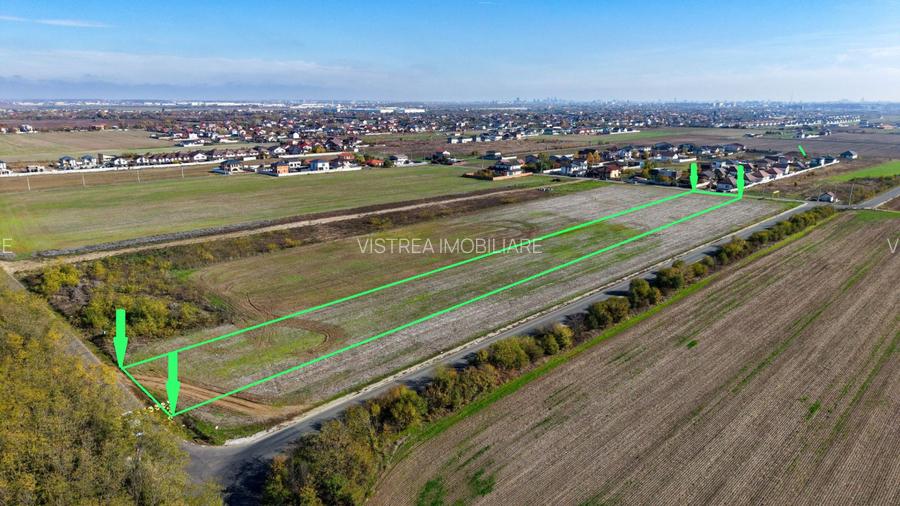 Dragomiresti Deal teren 6700 mp, padurea Ileana, utilitati, asfalt - 3