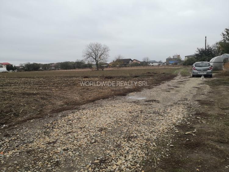 Magurele 1500mp langa padure, utilitati - 2