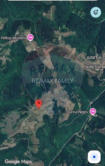 De vanzare casă cu teren 1,17ha la munte, Munteni, Bulz, spre Hiltop - 11