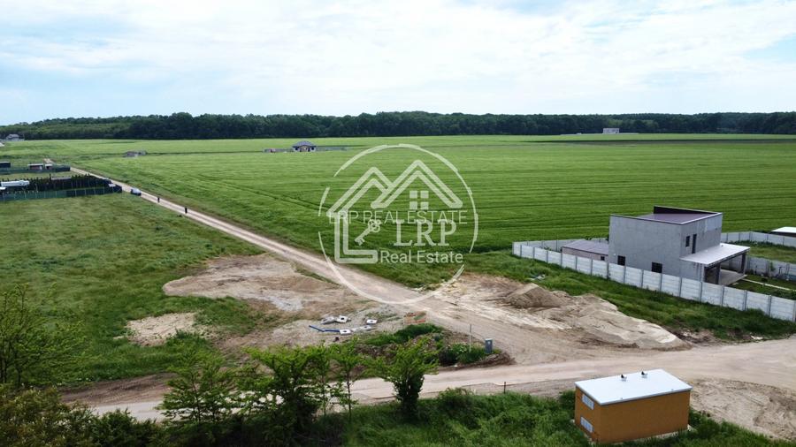 OPORTUNITATE INVESTIȚIE:Teren intravilan 25.000mp Dascălu-Pădure, parcelabil - 8