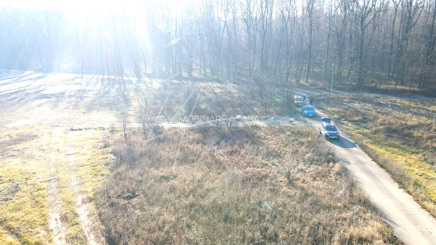 Teren intravilan, 2 fronturi, Drumul Padurea Pustnicu 65 - Greenfield - 13
