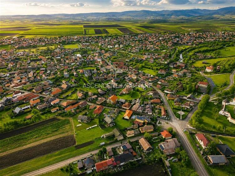 FILM! Gospodarie cu atmosfera traditionala,1.032 mp de verde si gradinarit, Sanz - 11