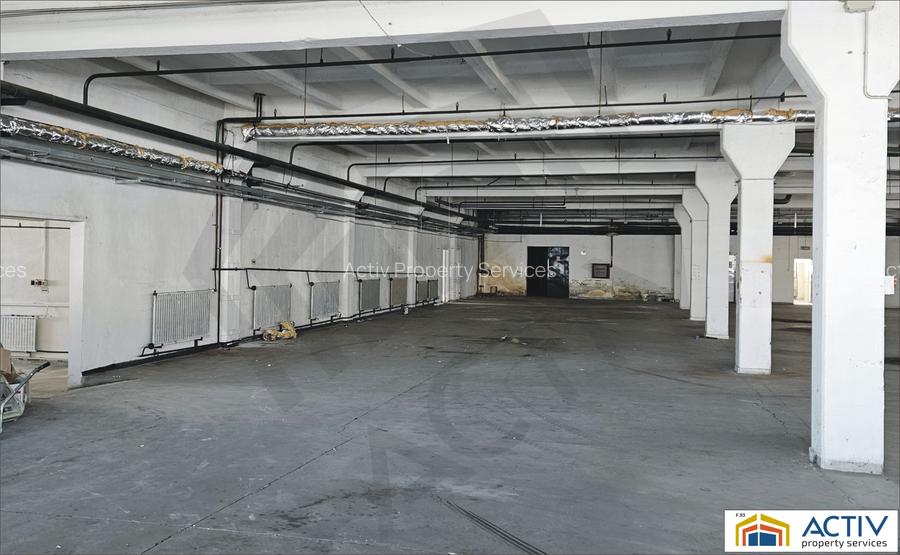 Spatiu industrial de inchiriat in Sibiu-Piata Cibin - 6