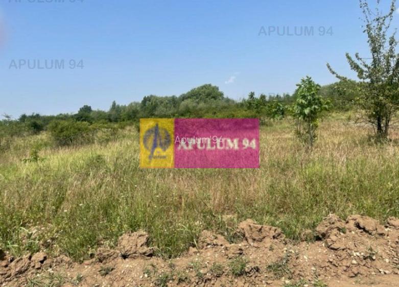 Teren Domnesti- Ciutaci. - 3