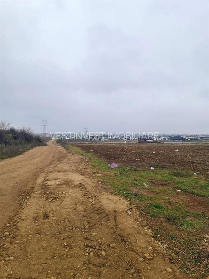 Teren Grigorescu 2 - 2