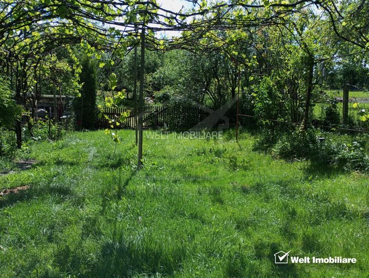 Casa buna locuibila sat Dumbrava Capusu Mare - 11