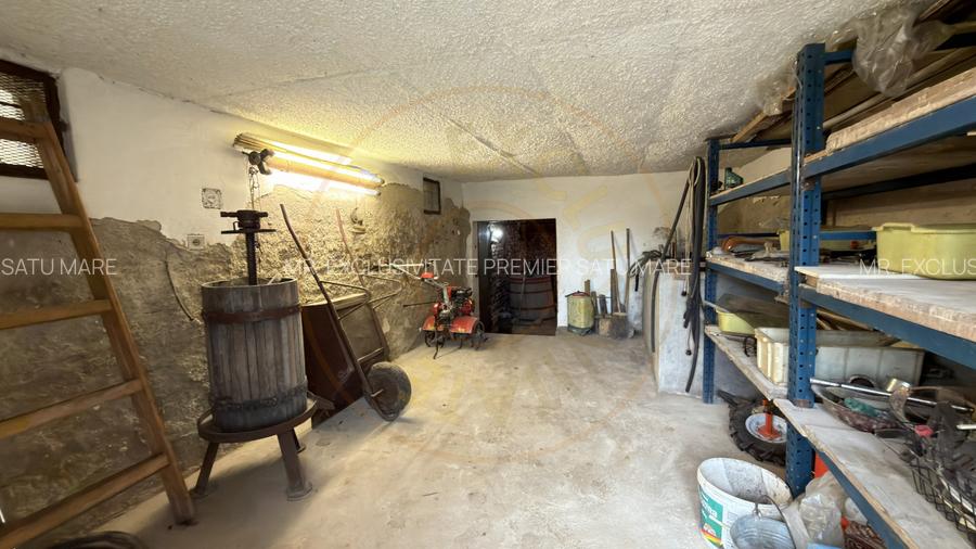 De vânzare 2 Case de vinificație cu Teren 4108 mp - Grădina Viilor - Carei - 8