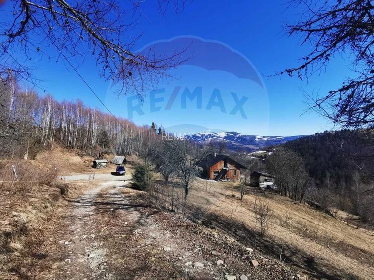 6,2 ha + business turistic activ | Munții Apuseni - 3