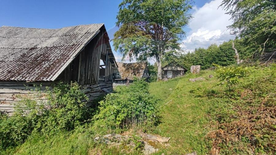 Teren 130000 mp extravilan, faneata si padure, Munteni - Bulz, Negreni - 19