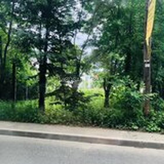 Baneasa Greenfield - 2