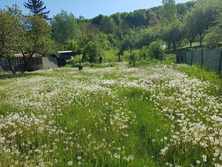 Oportunitate casa de vacanta - 4