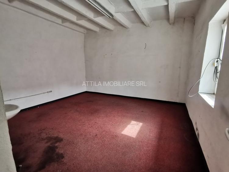 Iosefin Depozit 175 mp 875 euro +TVA - 2