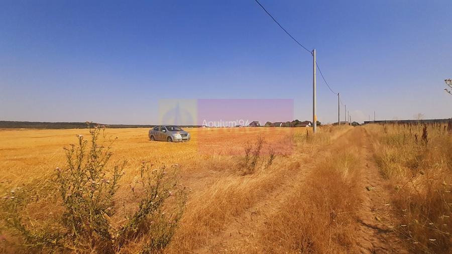 Teren pentru casă/case în Brănești pe strada Toporași - 15