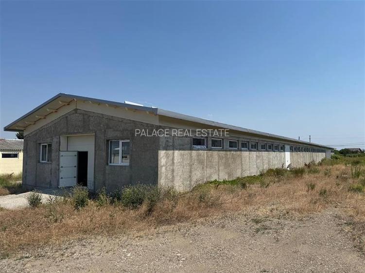 Hale industriale, fabrica de mobila la cheie de vanzare, zona Horlesti - 4