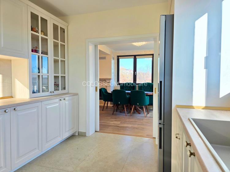 Case individuale, S+P+1, Hlincea - manastirea Cetatuia - ultima unitate - 13