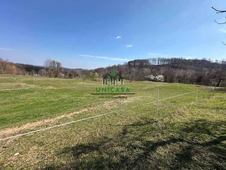 Teren Govora / 8131mp - 6