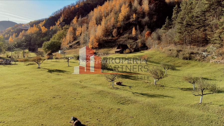 Teren Moieciu 8206 mp - Oportunitate de investitie - 6