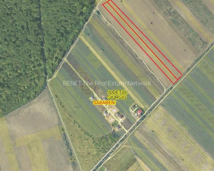 SABARENI, LOT 10.000 MP! - 3