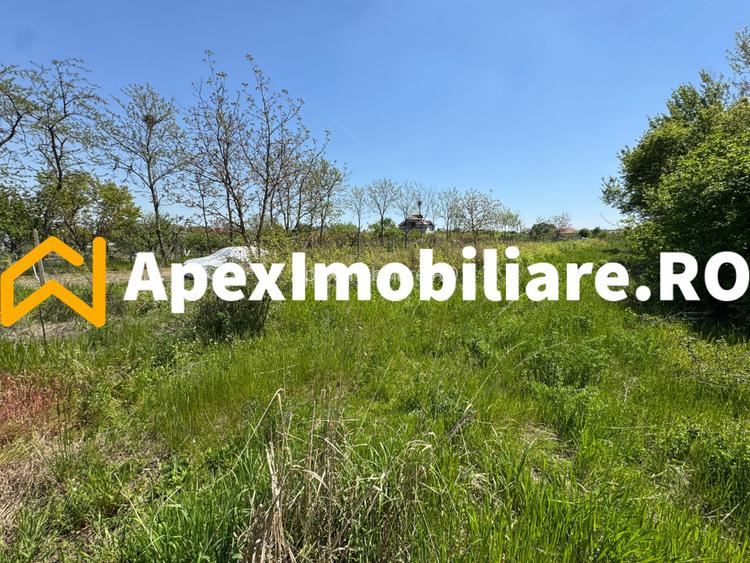 Teren intravilan de vanzare  Cornetu IF | ApexImobiliare.ro - 7