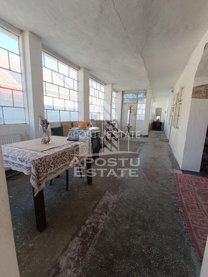 Casa individuala cu teren generos 2158mp, front 12m, livada, Freidorf - 35