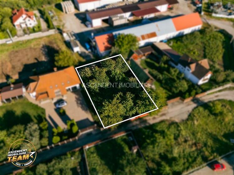 FILM! Casuta cu peste 800mp teren, areal estimabil, Lenin, Sfantu Gheorghe - 4