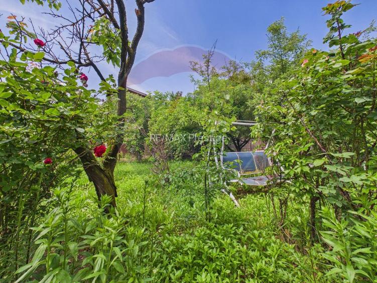 Casă 65 mp + teren 4000 mp, livadă, Butimanu - 24