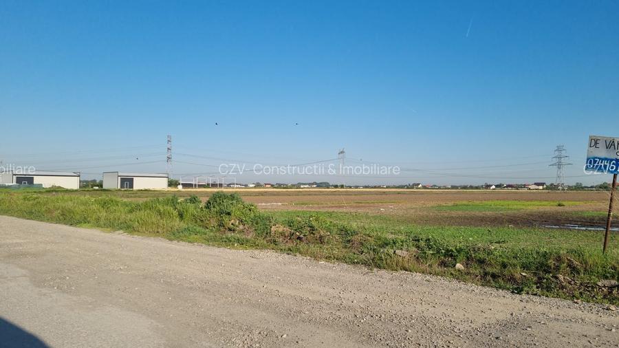 Teren 10.000 mp Clinceni | Parcelat 5 loturi + drum privat 9 ml - 3