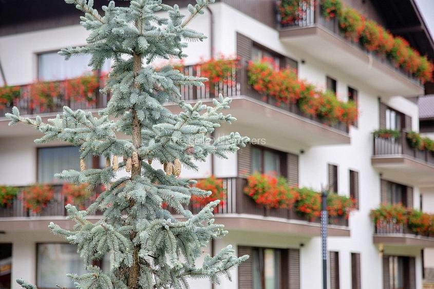 APARTAMENT DE VACANTA  - POIANA BRASOV - 29