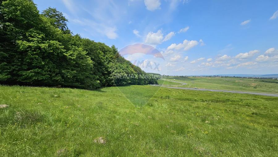 Teren Ilisesti  7000mp extravilan/ DN 17, Suceava - 18