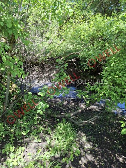 De vânzare teren intravilan de 30 000 m² (3 ha) în Reghin - 9