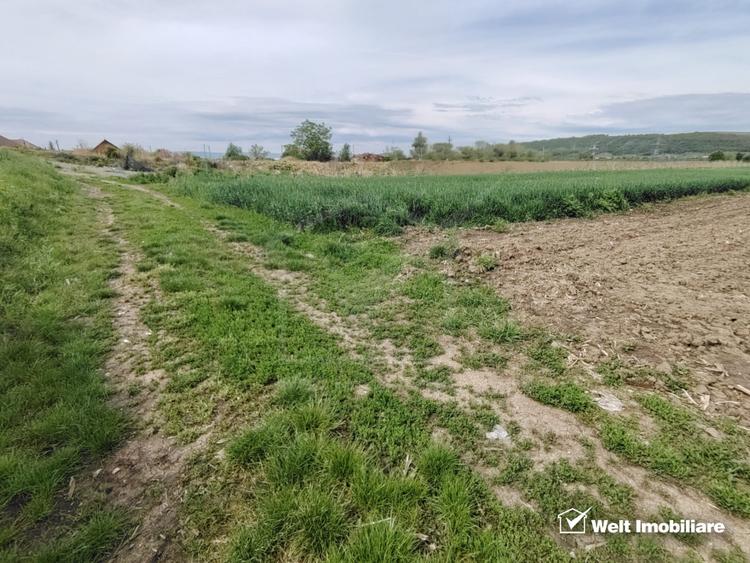 Teren cu functiuni multiple Apahida - construire fara PUZ