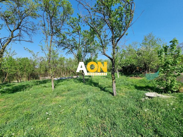 De vanzare 1365 teren intravilan, cu utilitati, Oarda de Sus - 4