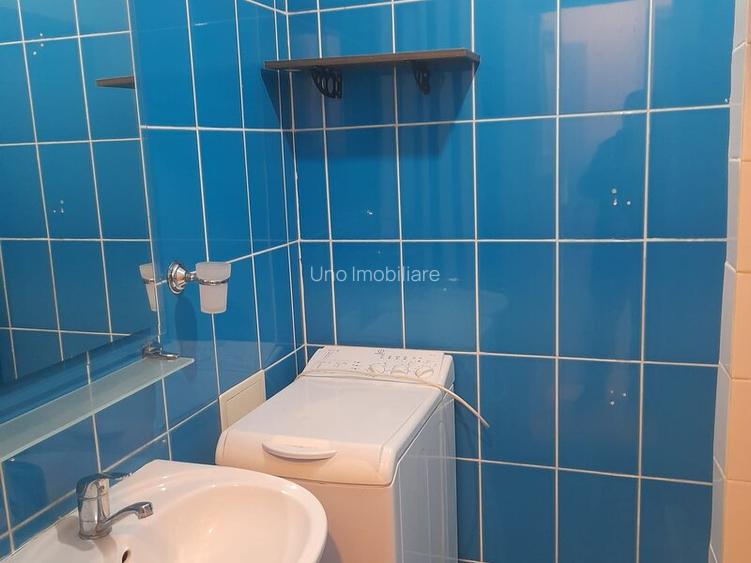 DOROBANTI ,IANCU DE HUNEDOARA GARSONIERA  PET FRIENDLY INCHIRIERE - 10