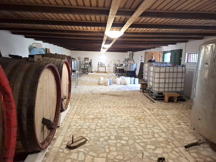 CRAMĂ FUNCȚIONALĂ DE VÂNZARE   ÎN INIMA PODGORIEI ODOBEȘTI (VRANCEA) - 11