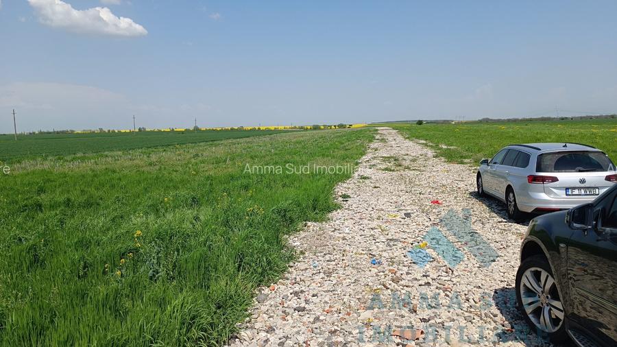 Terenuri Intravilane Industriale - 1.000 mp - Sos. Oltenitei DN 4 / A0 - 4