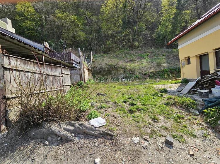 Teren Intravilan Dobrogeanu Gherea - 10