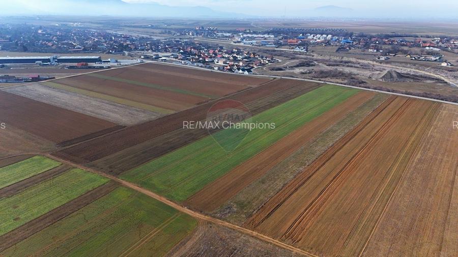 Teren extravilan | 14,600mp | Tărlungeni - 7