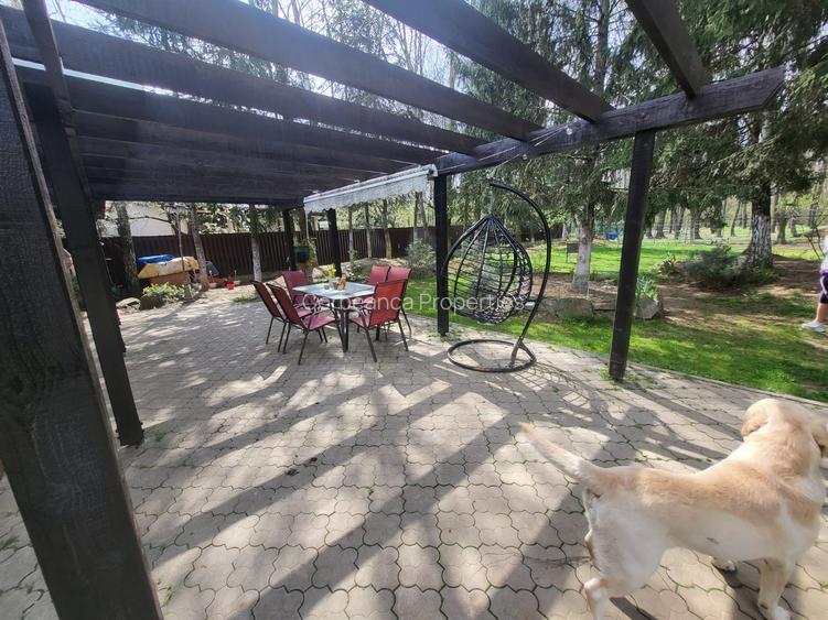 Resedinta cu Padure Privata, Paradisul Verde, teren 1800mp, gradina matura - 4